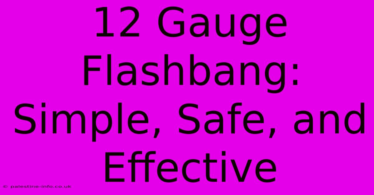 12 Gauge Flashbang:  Simple, Safe, And Effective