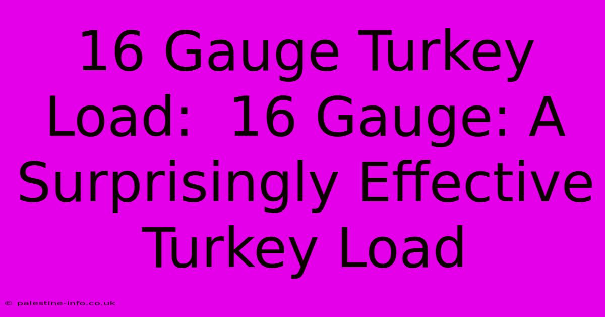 16 Gauge Turkey Load:  16 Gauge: A Surprisingly Effective Turkey Load