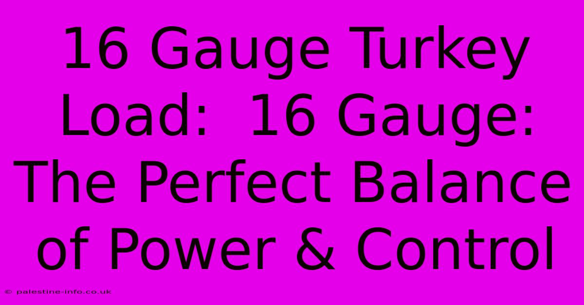 16 Gauge Turkey Load:  16 Gauge: The Perfect Balance Of Power & Control