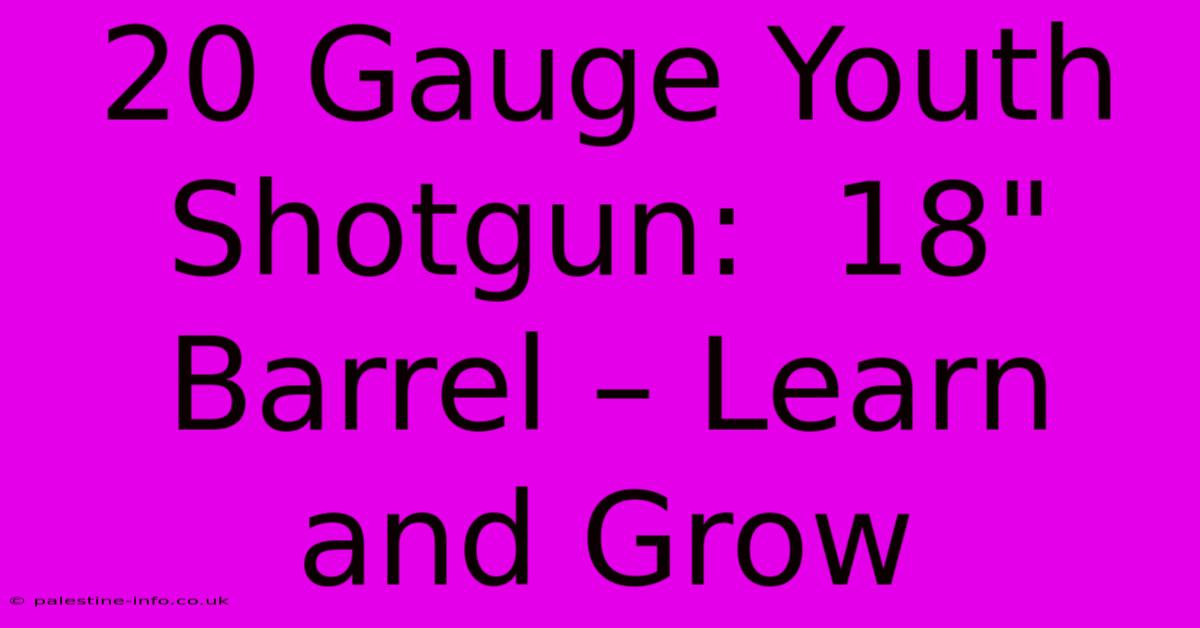 20 Gauge Youth Shotgun:  18