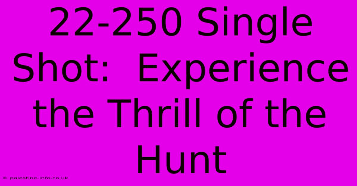 22-250 Single Shot:  Experience The Thrill Of The Hunt