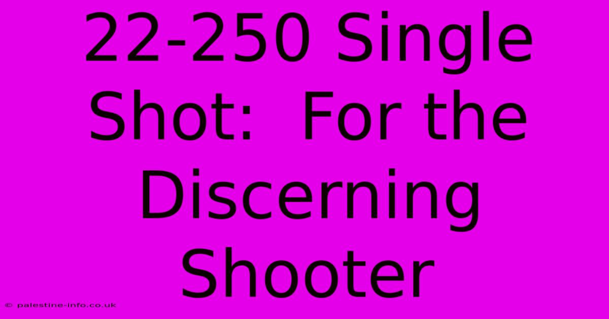 22-250 Single Shot:  For The Discerning Shooter