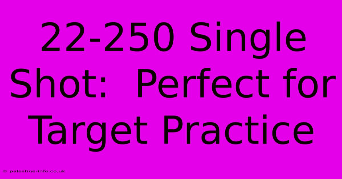 22-250 Single Shot:  Perfect For Target Practice