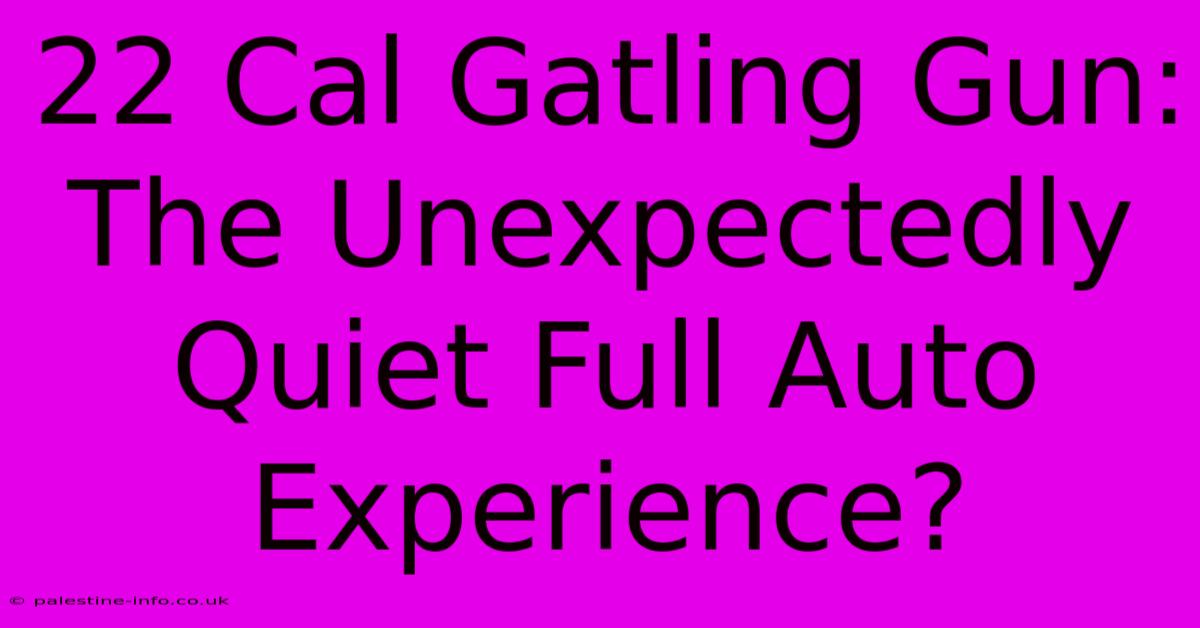 22 Cal Gatling Gun:  The Unexpectedly Quiet Full Auto Experience?