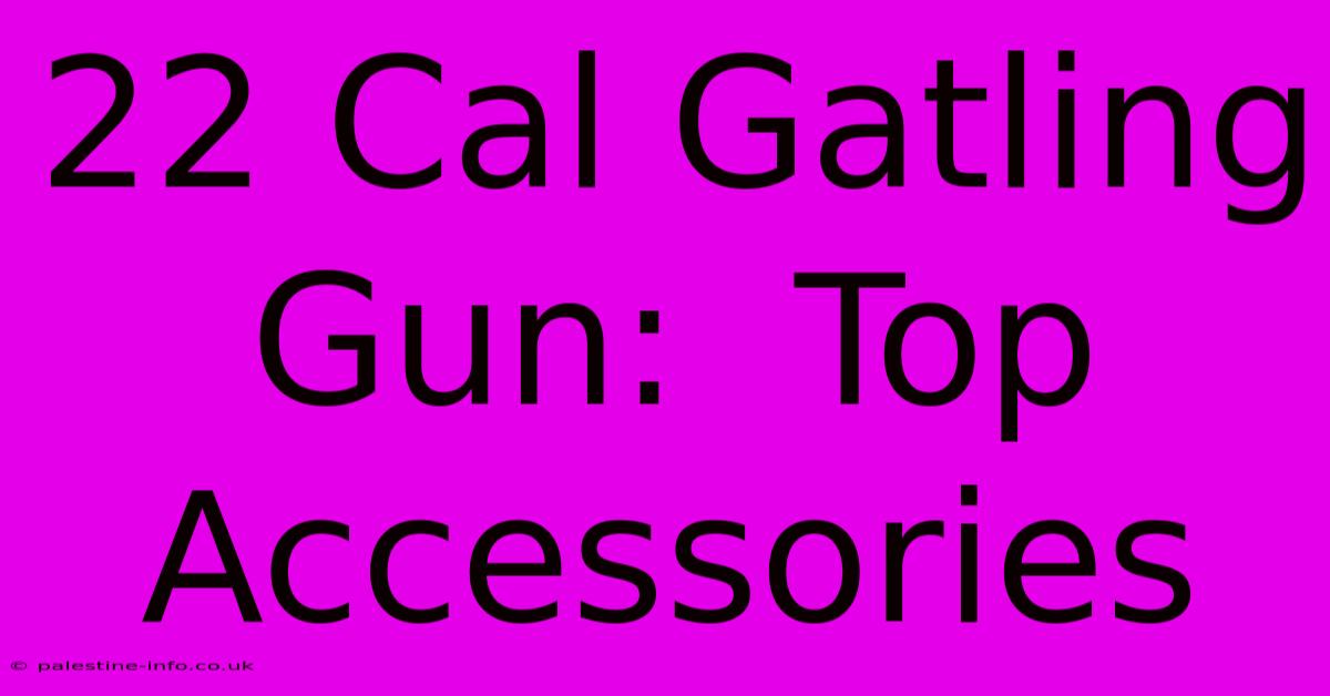 22 Cal Gatling Gun:  Top Accessories