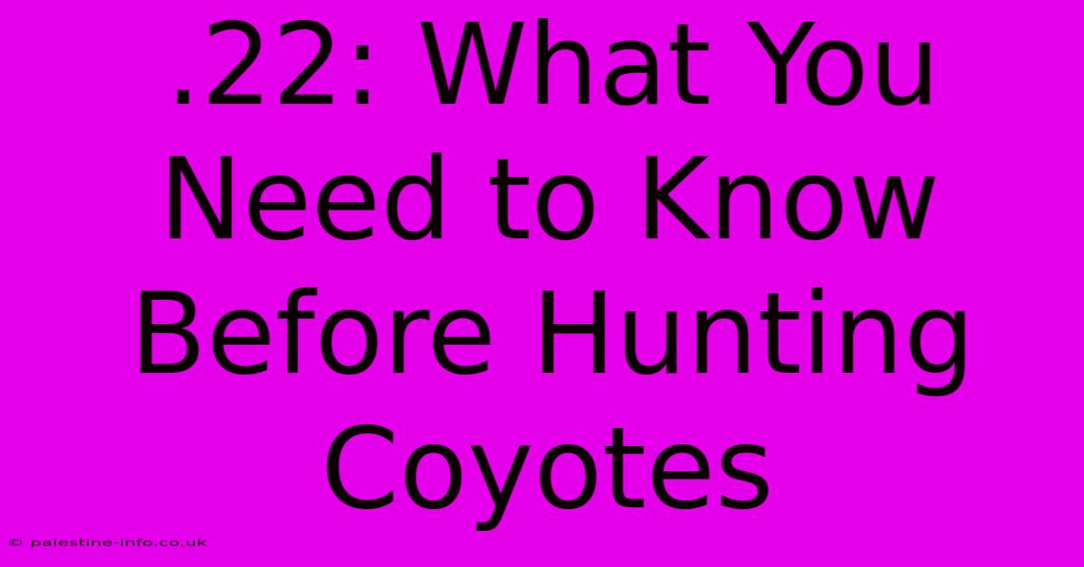 .22: What You Need To Know Before Hunting Coyotes