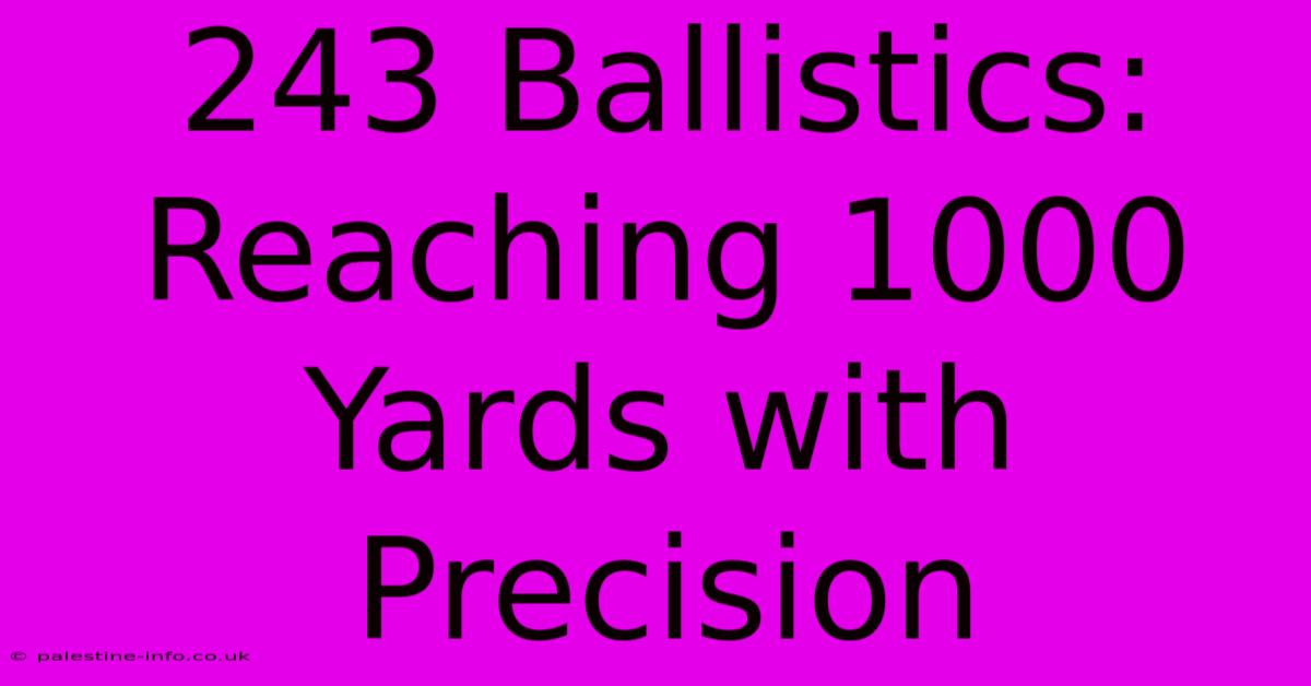 243 Ballistics: Reaching 1000 Yards With Precision