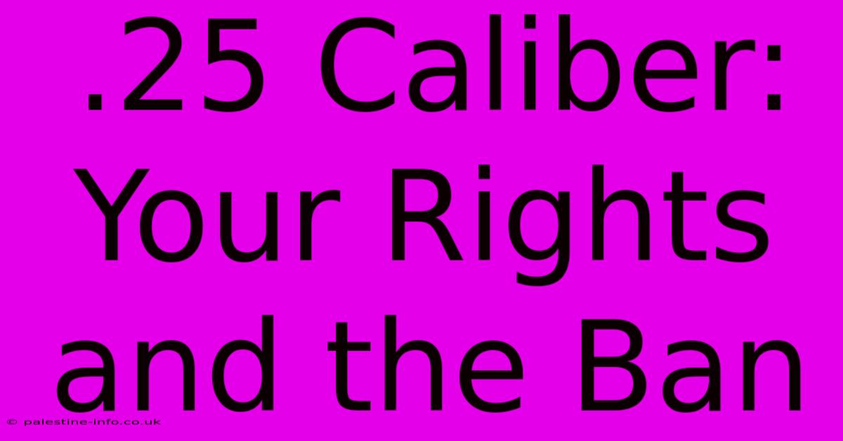 .25 Caliber:  Your Rights And The Ban