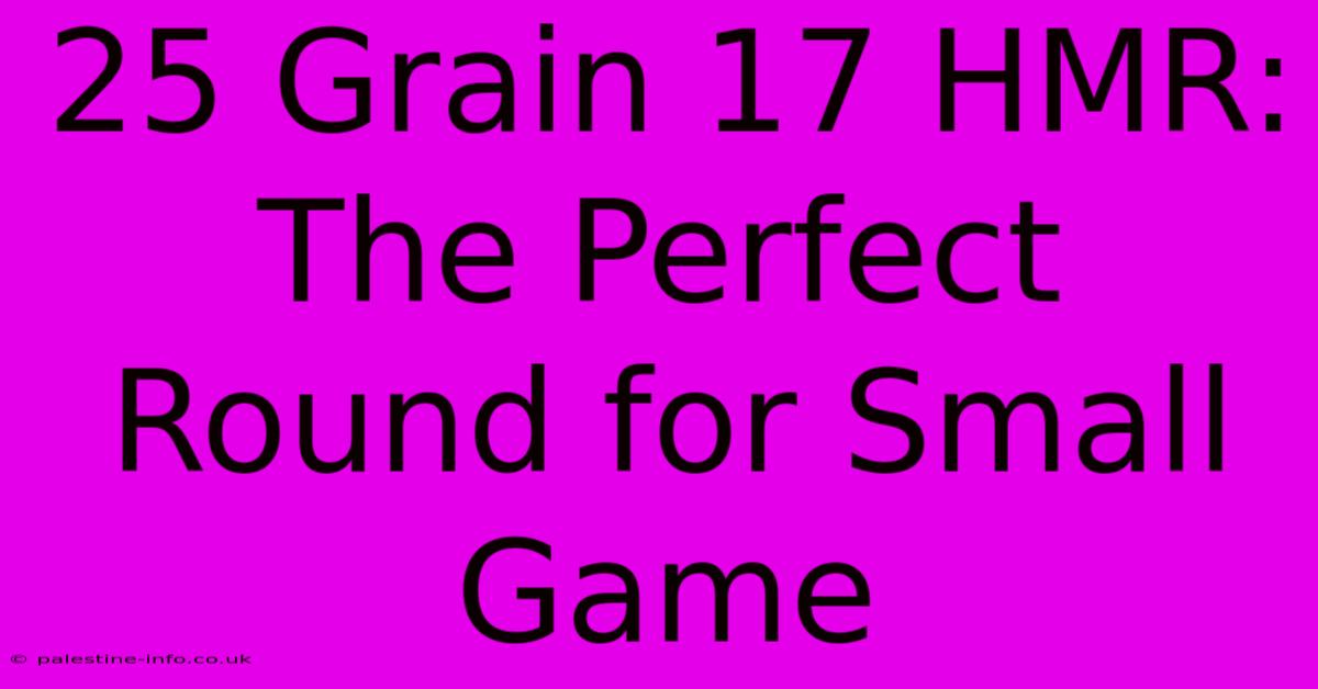 25 Grain 17 HMR: The Perfect Round For Small Game