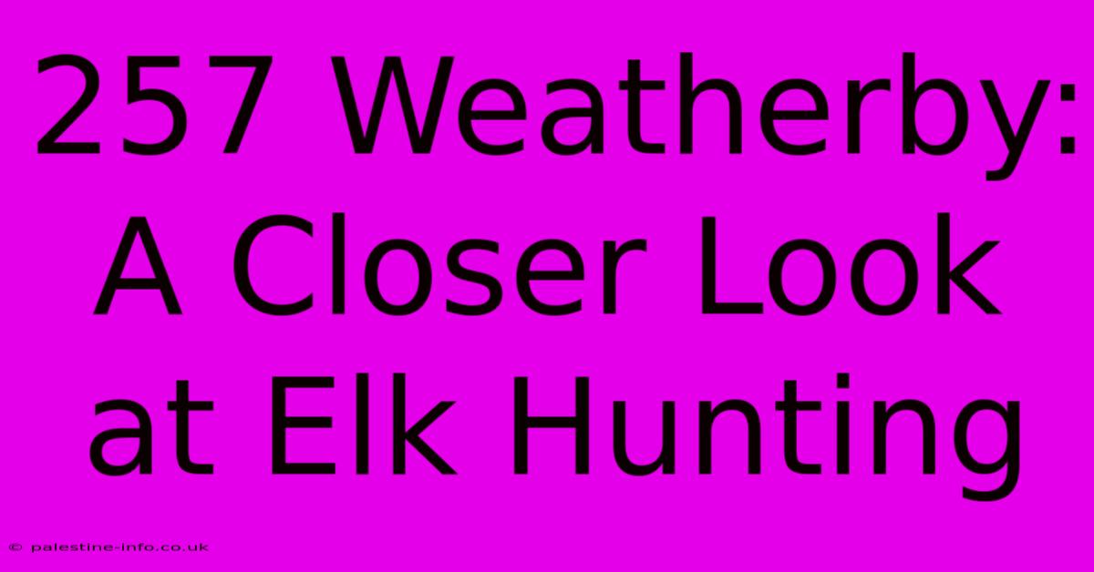 257 Weatherby: A Closer Look At Elk Hunting