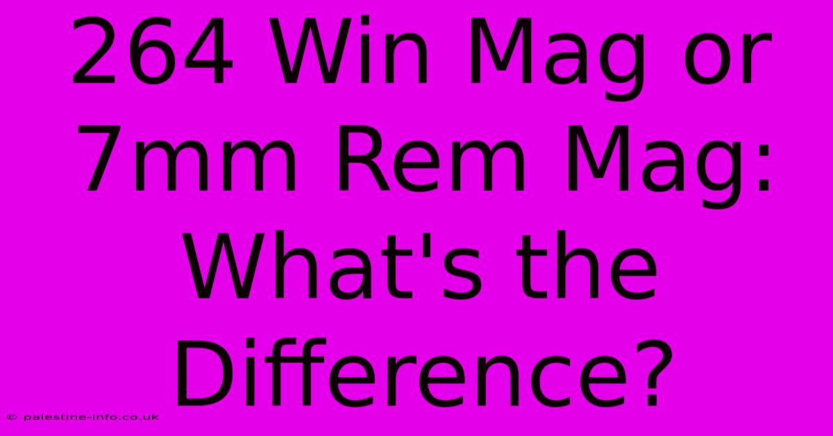 264 Win Mag Or 7mm Rem Mag: What's The Difference?