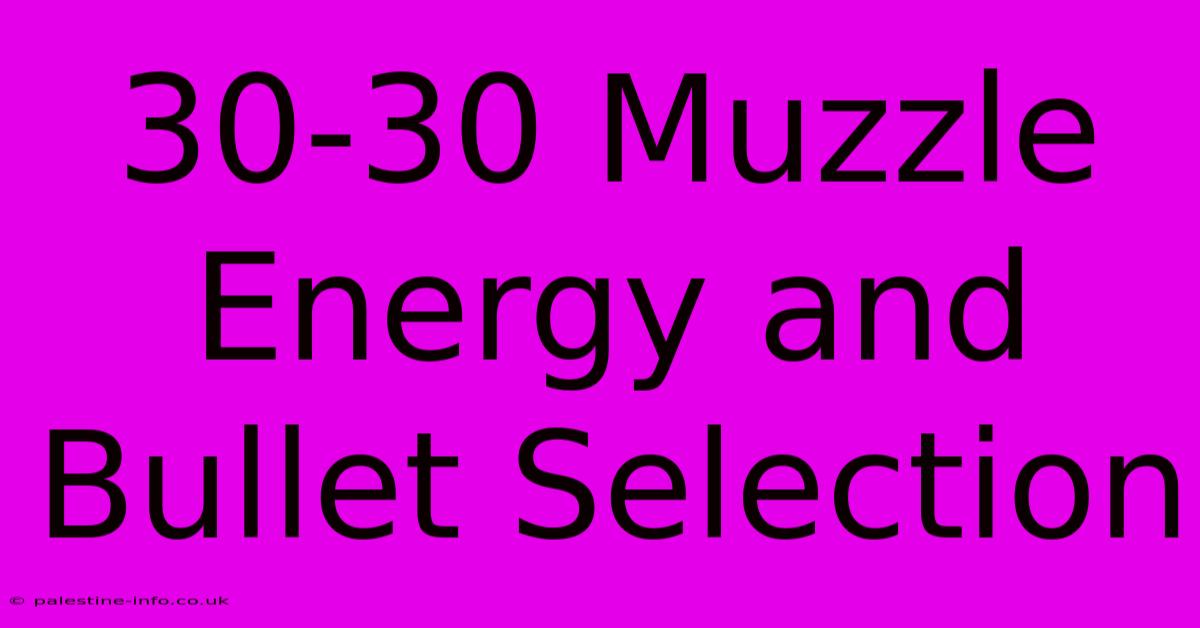 30-30 Muzzle Energy And Bullet Selection