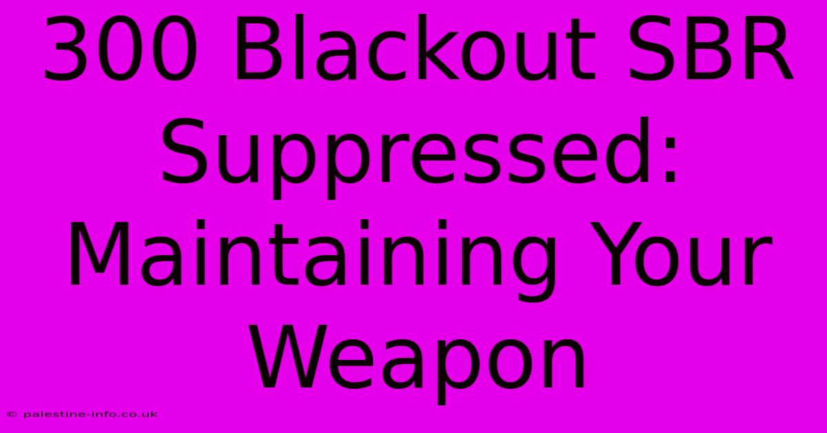 300 Blackout SBR Suppressed:  Maintaining Your Weapon