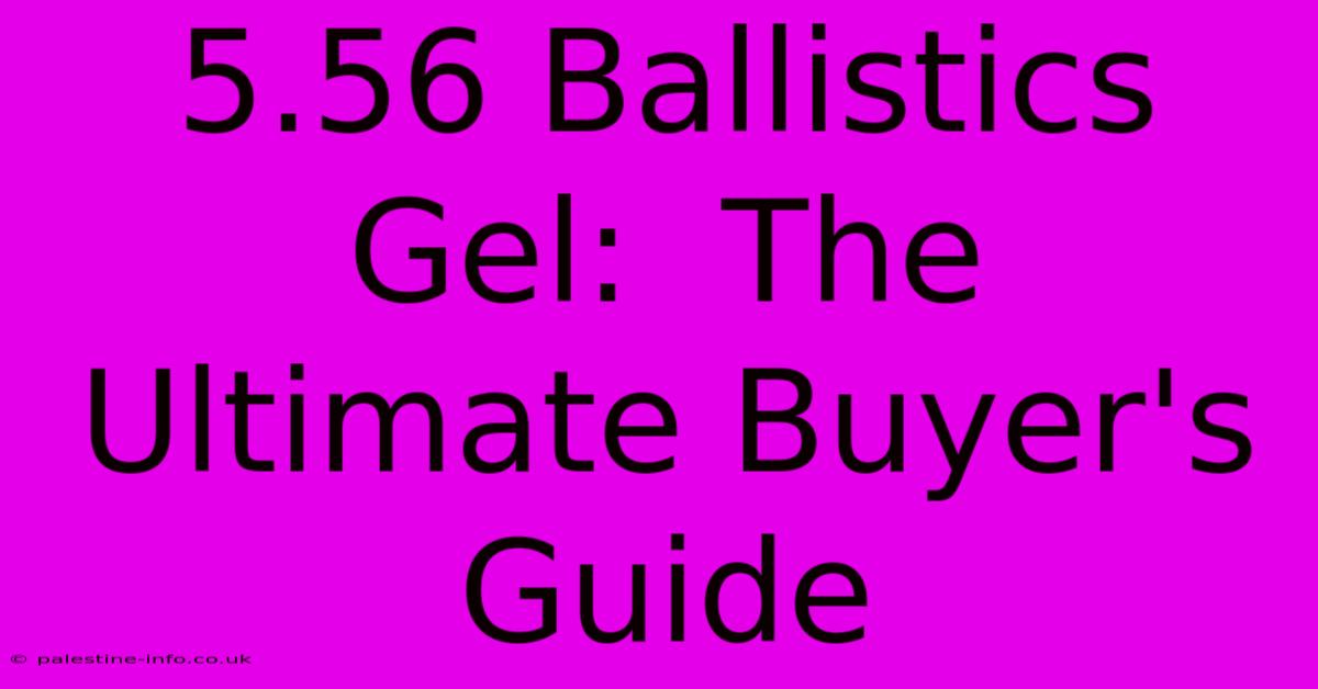 5.56 Ballistics Gel:  The Ultimate Buyer's Guide