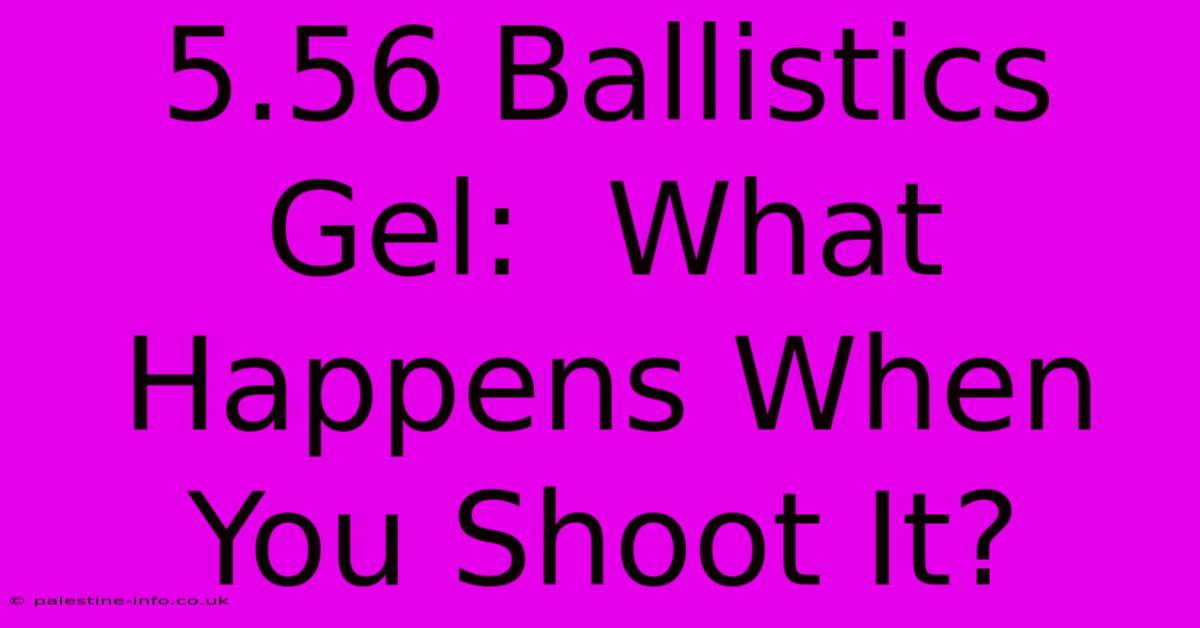 5.56 Ballistics Gel:  What Happens When You Shoot It?