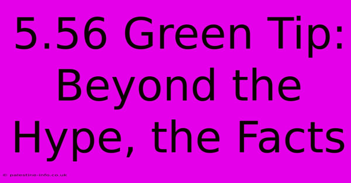 5.56 Green Tip: Beyond The Hype, The Facts