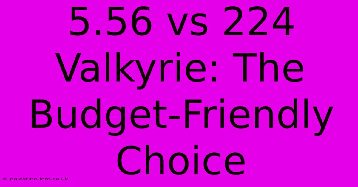 5.56 Vs 224 Valkyrie: The Budget-Friendly Choice