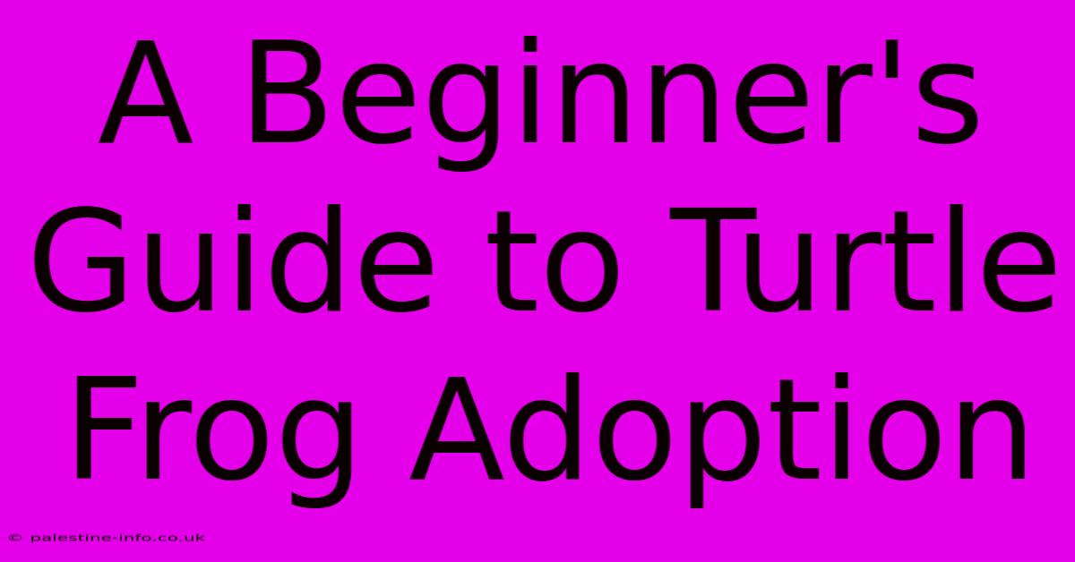 A Beginner's Guide To Turtle Frog Adoption