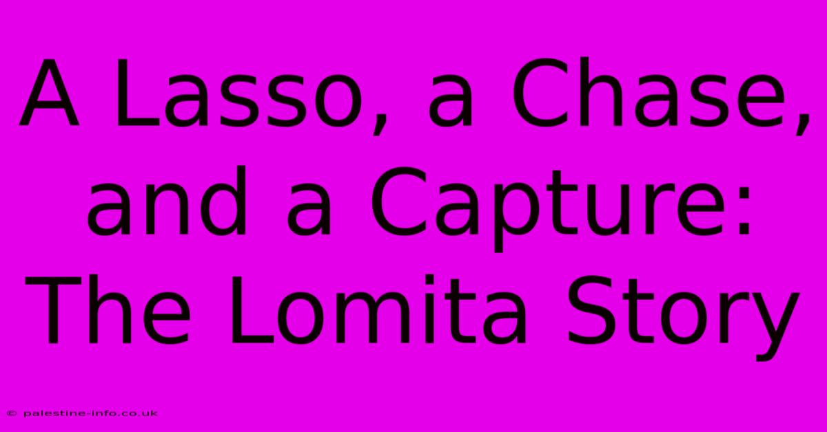 A Lasso, A Chase, And A Capture: The Lomita Story