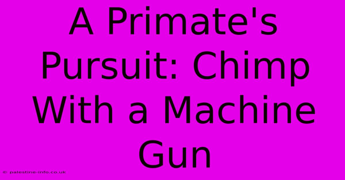 A Primate's Pursuit: Chimp With A Machine Gun