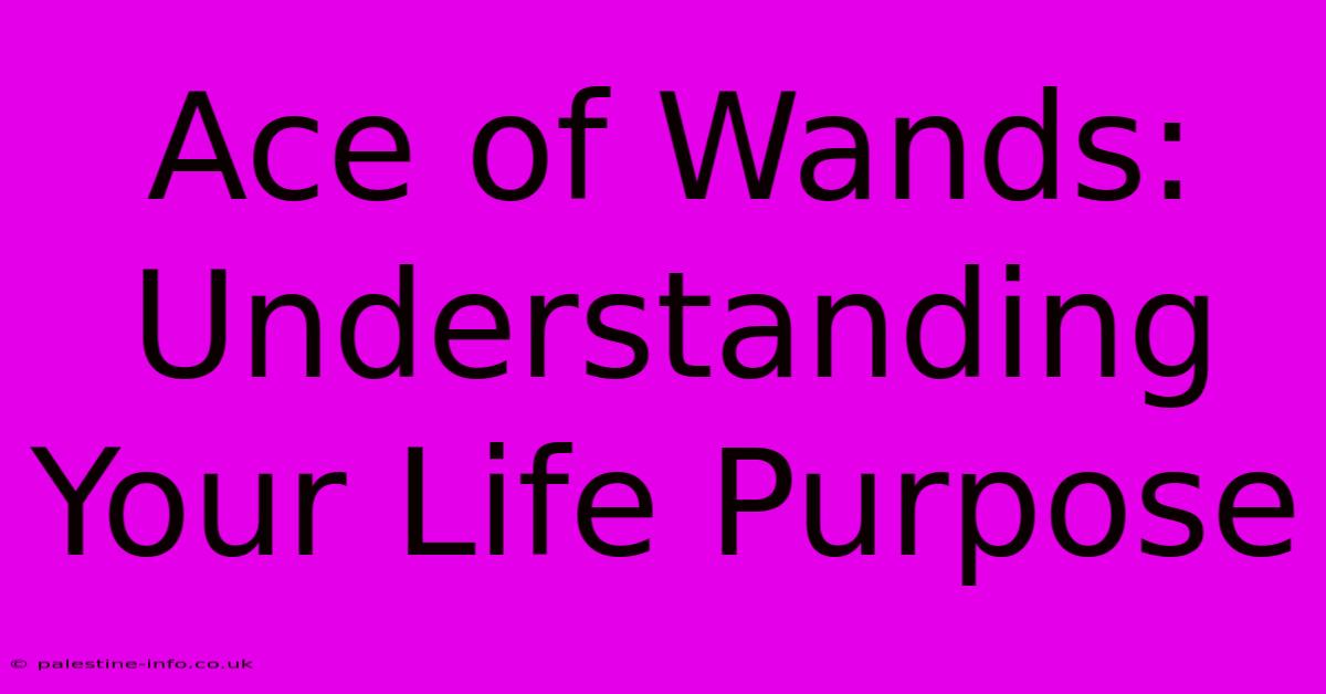 Ace Of Wands: Understanding Your Life Purpose