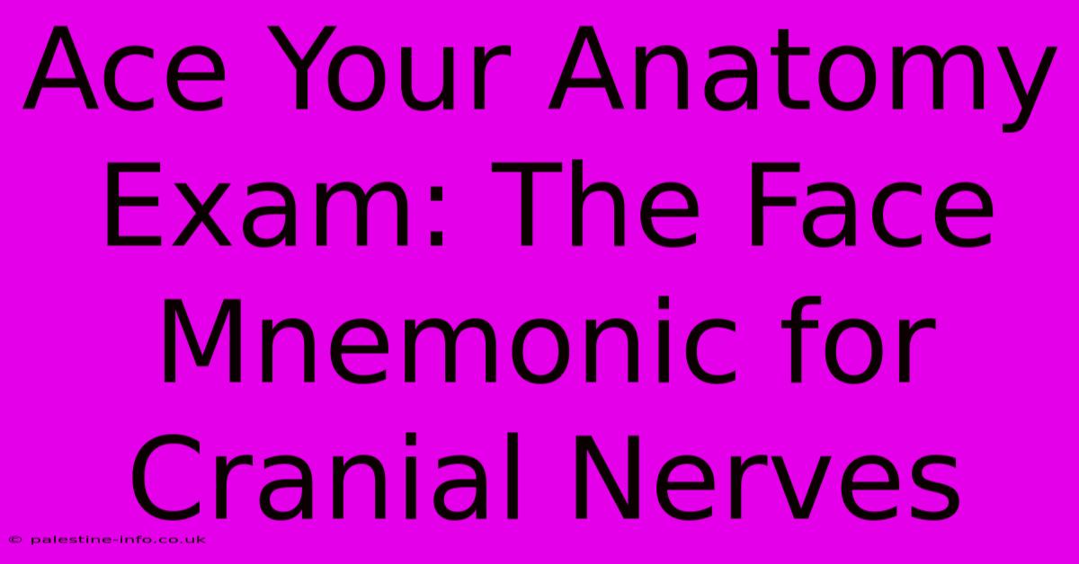 Ace Your Anatomy Exam: The Face Mnemonic For Cranial Nerves