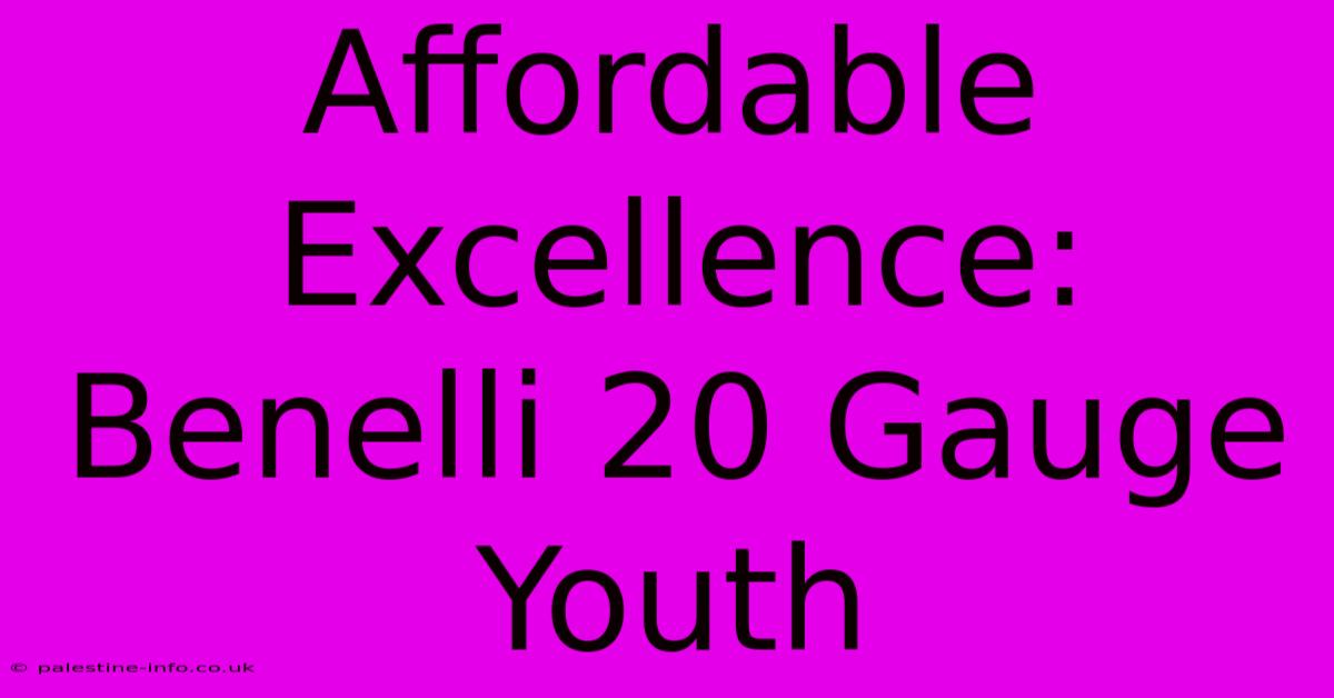 Affordable Excellence: Benelli 20 Gauge Youth