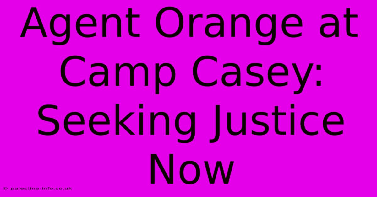 Agent Orange At Camp Casey:  Seeking Justice Now