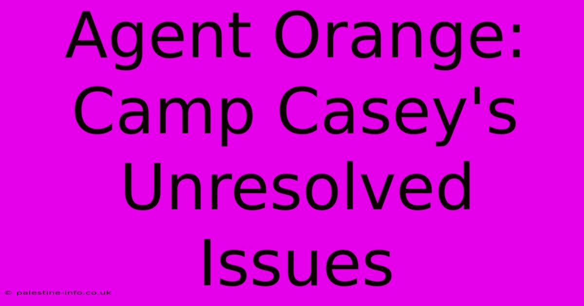 Agent Orange: Camp Casey's Unresolved Issues