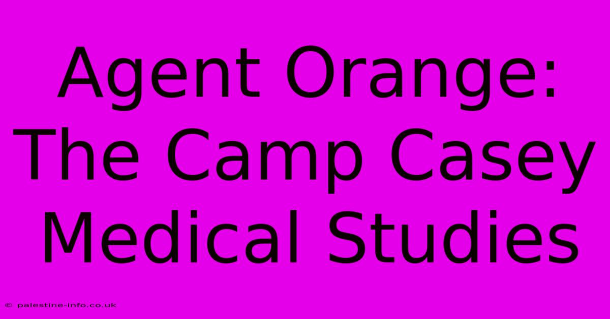 Agent Orange: The Camp Casey Medical Studies