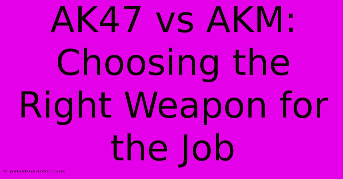 AK47 Vs AKM:  Choosing The Right Weapon For The Job