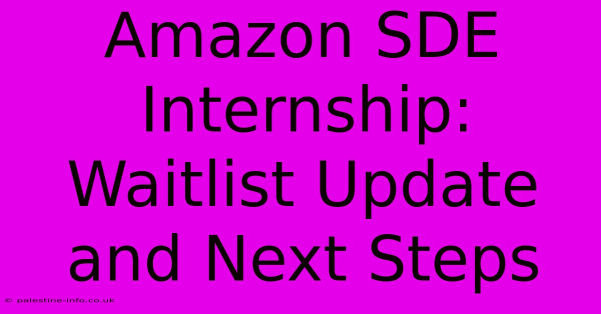 Amazon SDE Internship:  Waitlist Update And Next Steps