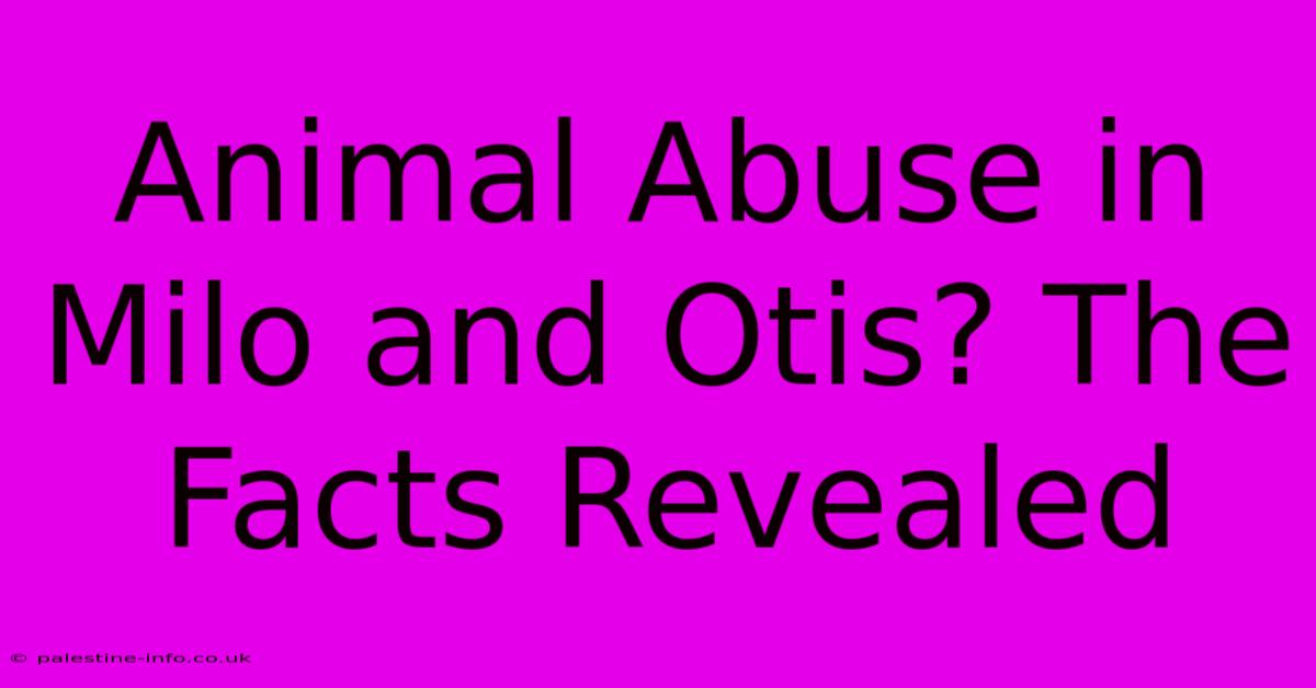 Animal Abuse In Milo And Otis? The Facts Revealed