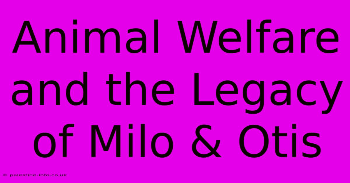 Animal Welfare And The Legacy Of Milo & Otis