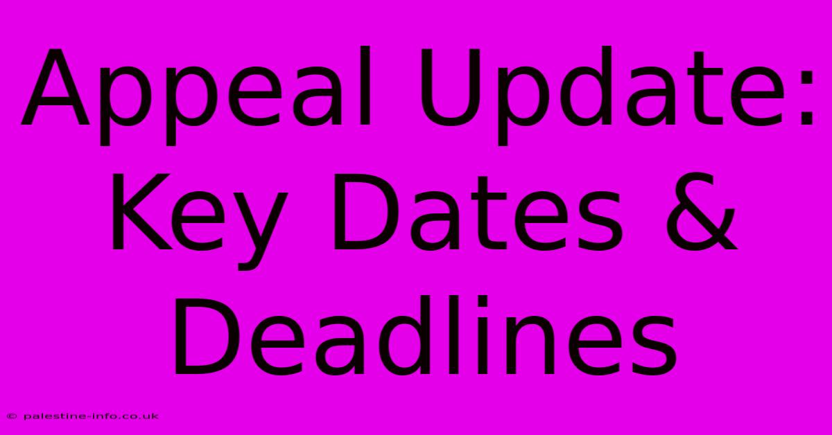 Appeal Update: Key Dates & Deadlines