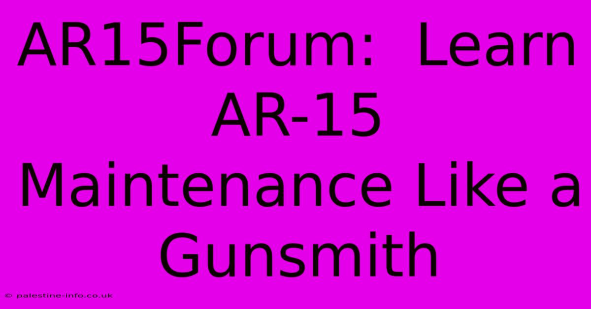 AR15Forum:  Learn AR-15 Maintenance Like A Gunsmith