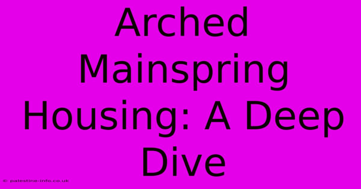 Arched Mainspring Housing: A Deep Dive