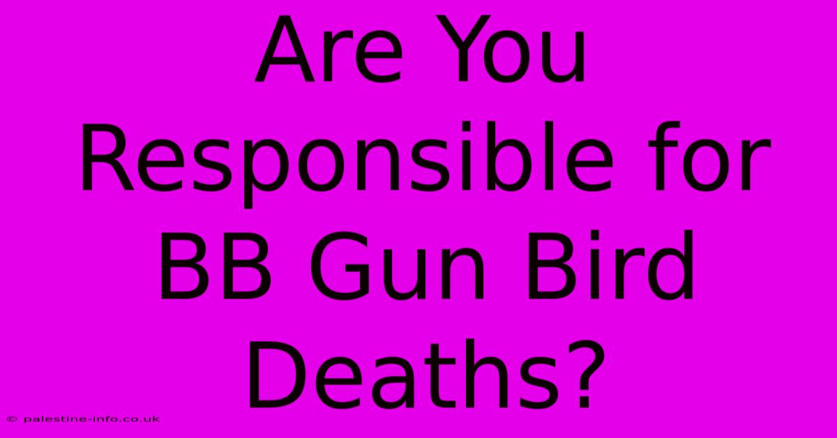 Are You Responsible For BB Gun Bird Deaths?