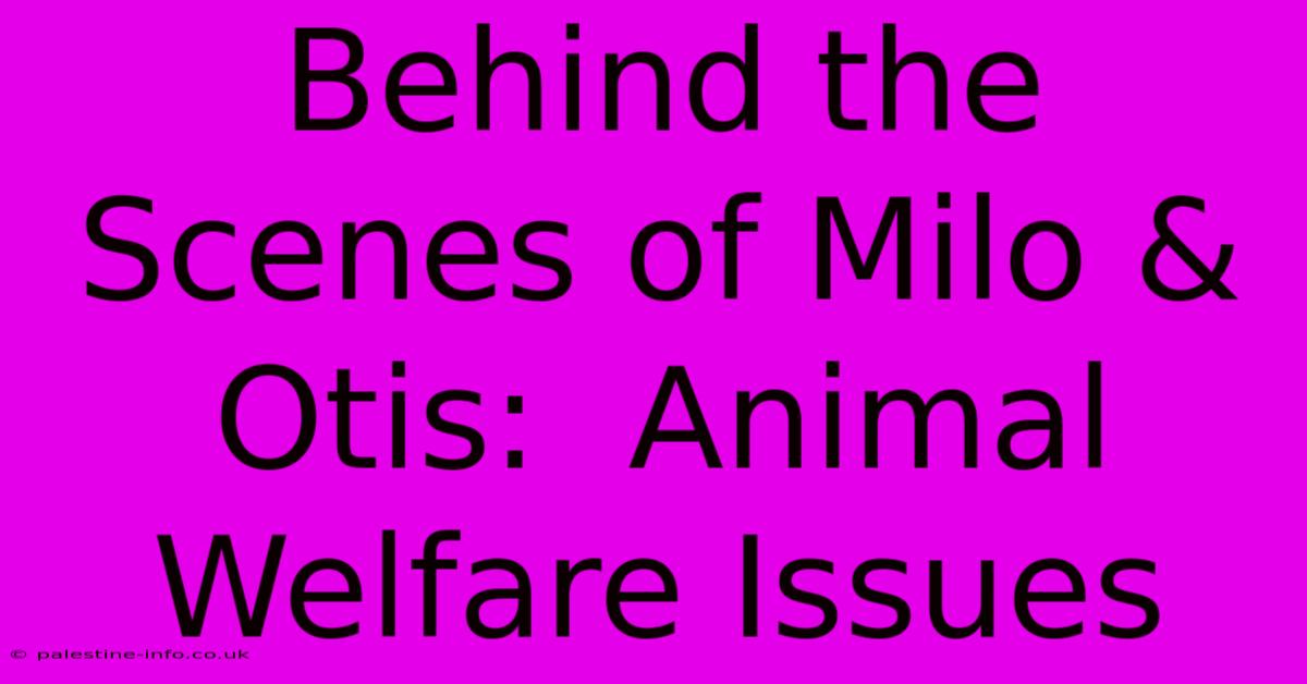 Behind The Scenes Of Milo & Otis:  Animal Welfare Issues