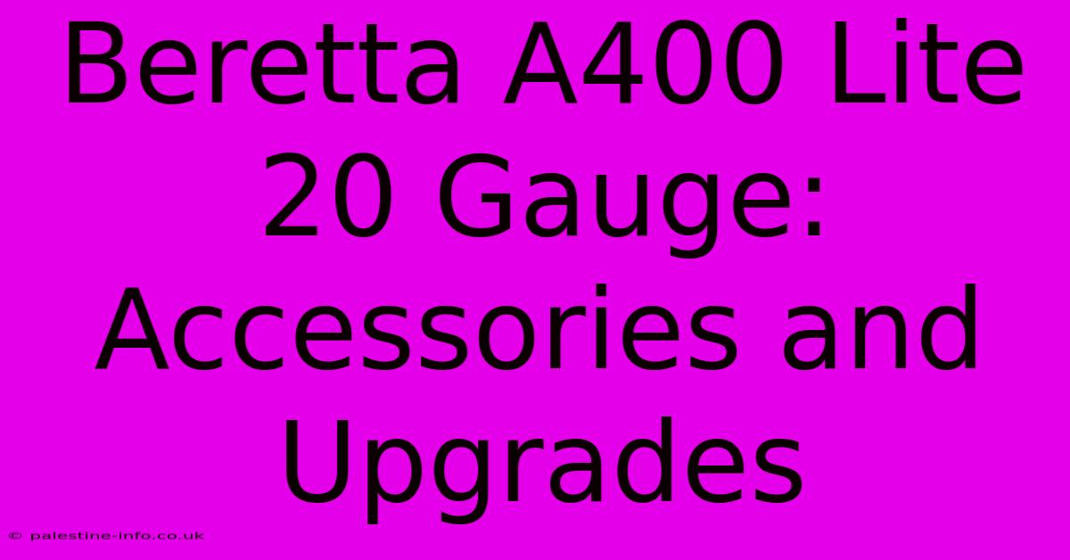 Beretta A400 Lite 20 Gauge:  Accessories And Upgrades