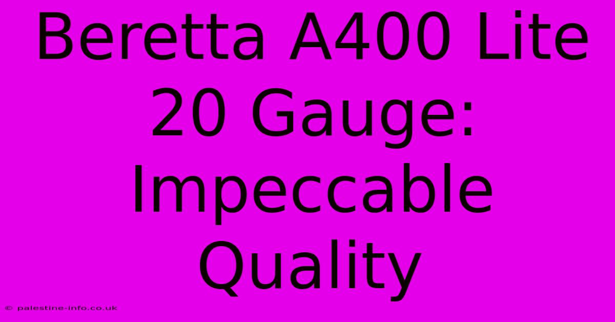 Beretta A400 Lite 20 Gauge: Impeccable Quality