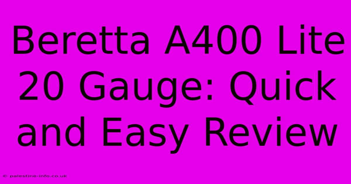 Beretta A400 Lite 20 Gauge: Quick And Easy Review