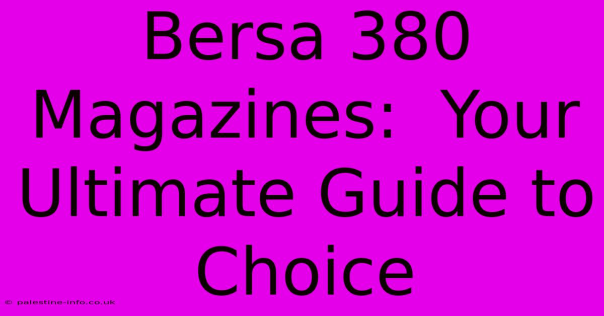 Bersa 380 Magazines:  Your Ultimate Guide To Choice