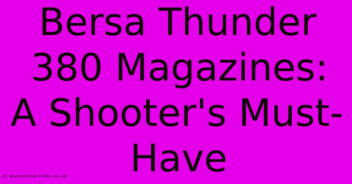 Bersa Thunder 380 Magazines:  A Shooter's Must-Have