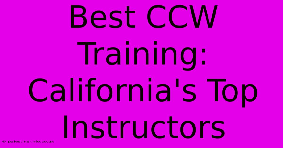 Best CCW Training: California's Top Instructors