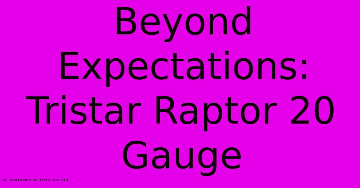 Beyond Expectations: Tristar Raptor 20 Gauge