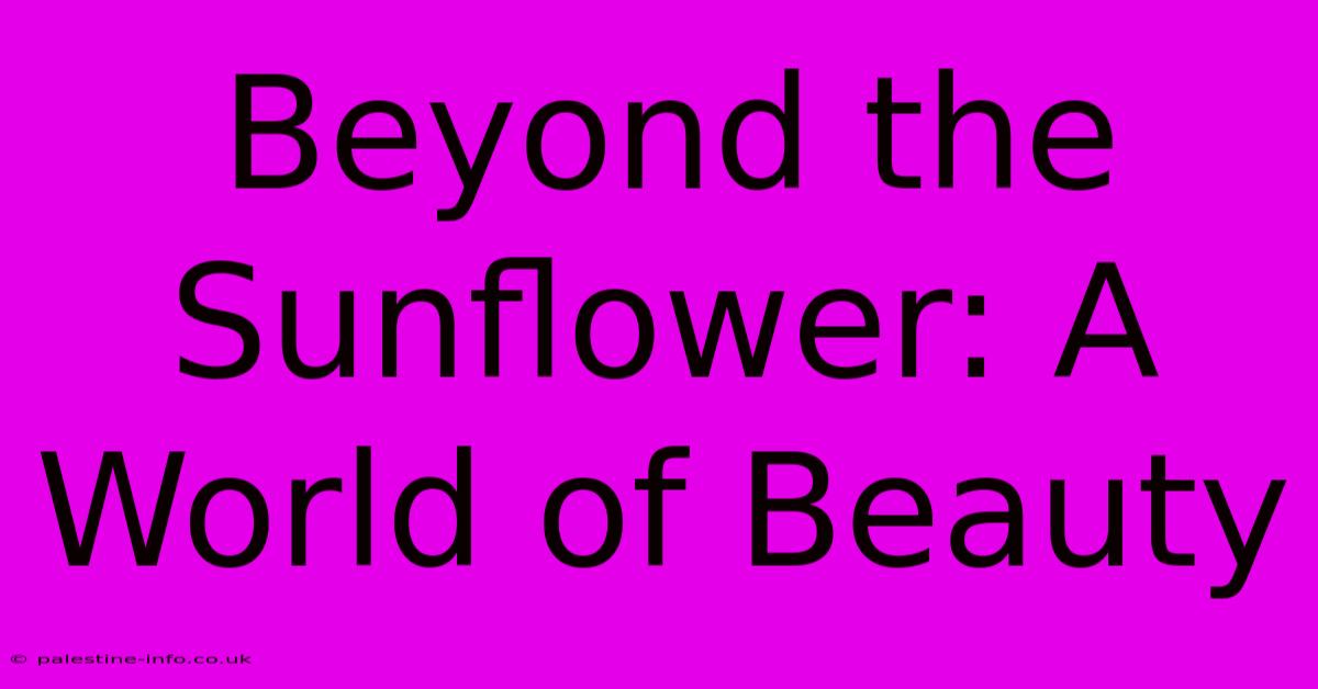 Beyond The Sunflower: A World Of Beauty