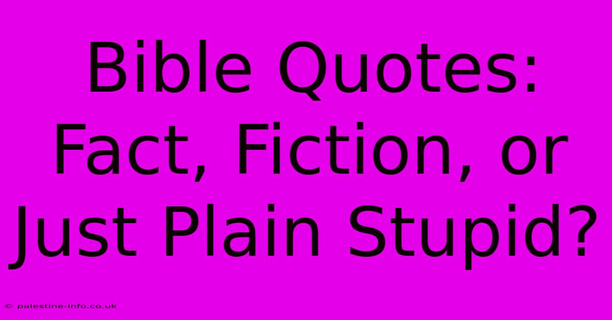 Bible Quotes: Fact, Fiction, Or Just Plain Stupid?