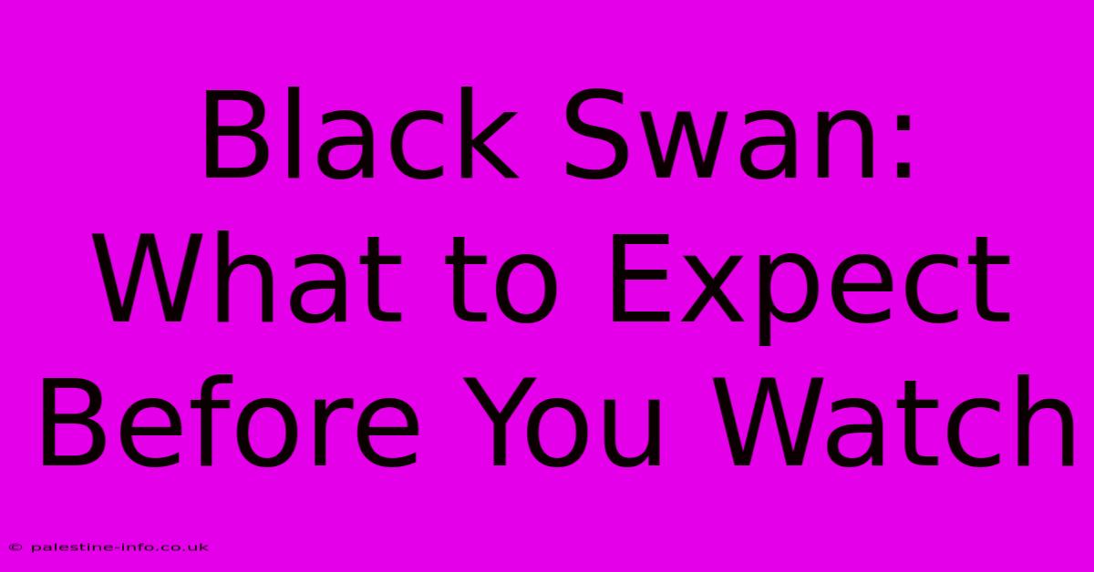 Black Swan:  What To Expect Before You Watch