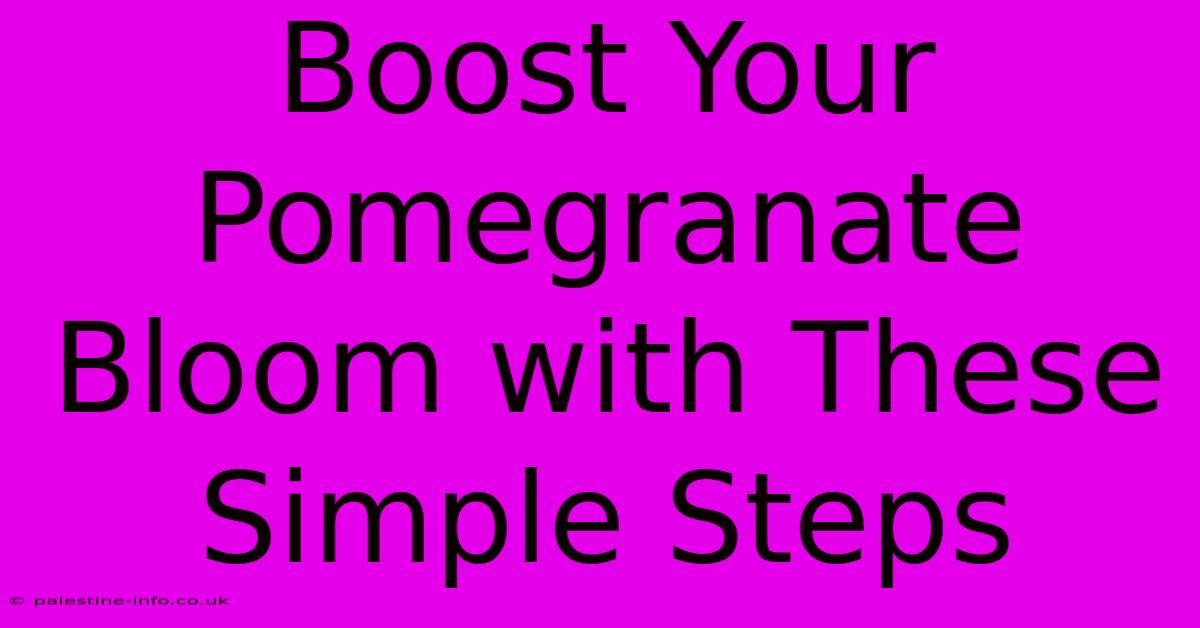 Boost Your Pomegranate Bloom With These Simple Steps